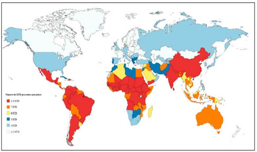 Comienzo de nuevas asignaturas: enfermedades tropicales